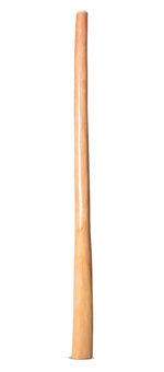 Earl Clements Didgeridoo (EC489)